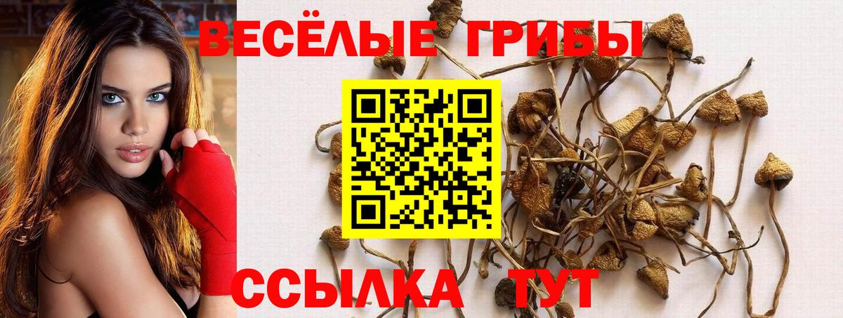 ТГК  ГАШИШ  КОКАИН  Дивногорск  Мефедрон  Вход с VPN  Меф кристаллы  Бошки Шишки 